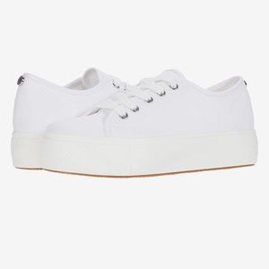 STEVE MADDEN Elore Platform Sneaker (White Canvas)